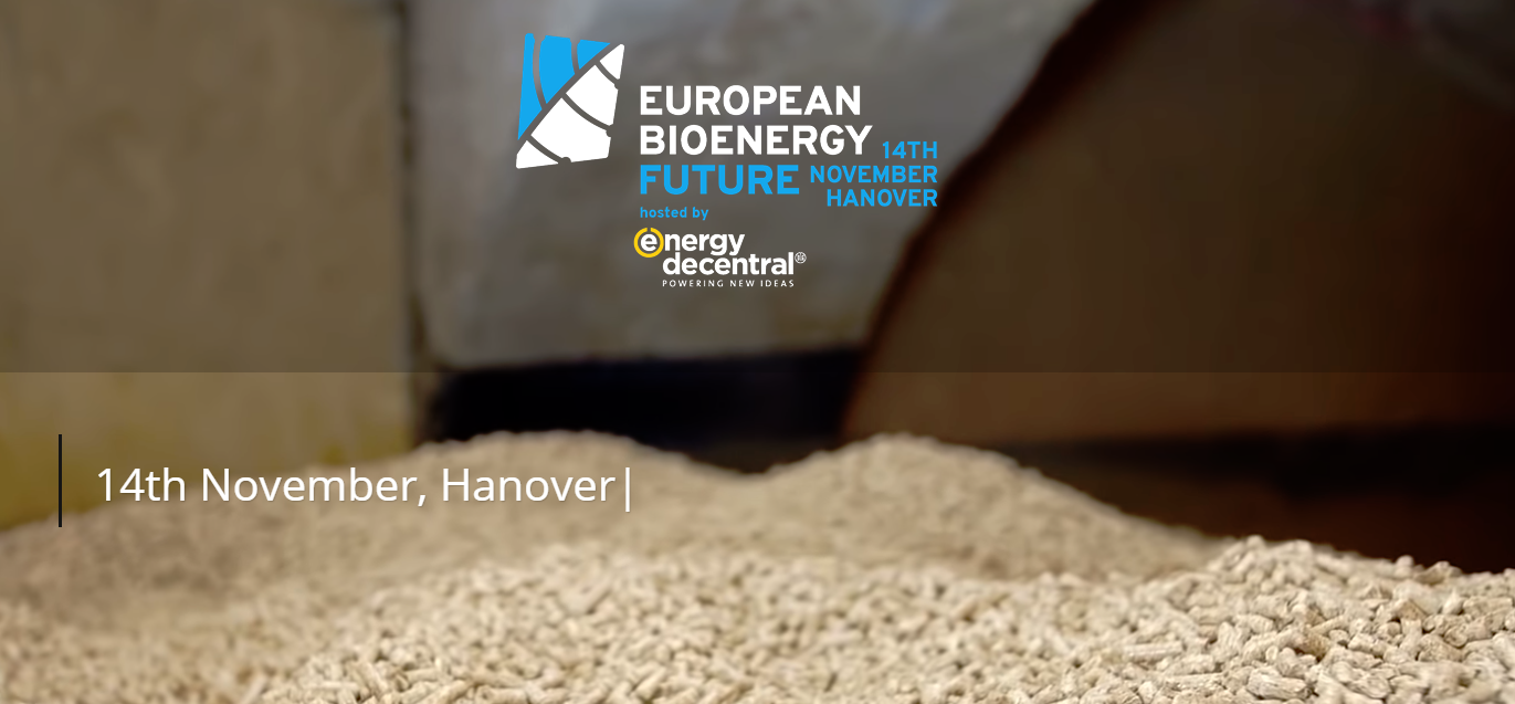 European Bioenergy Future