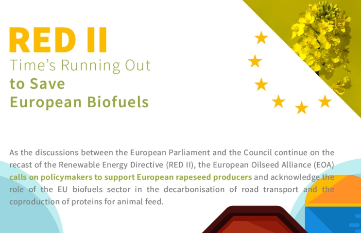 RED II entered into force