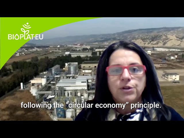 Italy stakeholder video interview